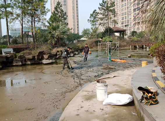 1764058564598205.jpg 2024061134515501.jpg